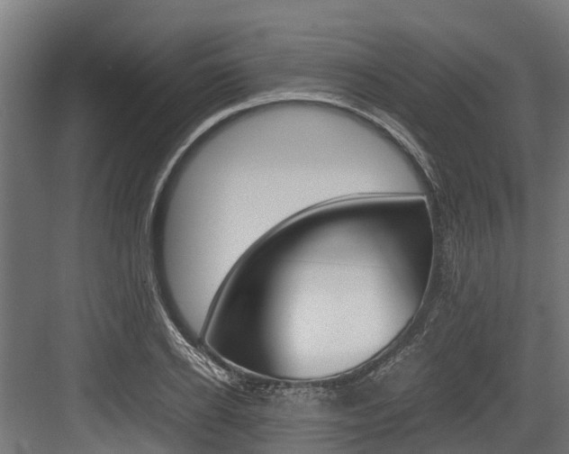 X0000083620934200702120746
