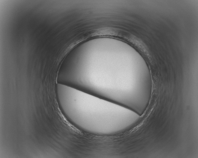 X0000083620937200702120746