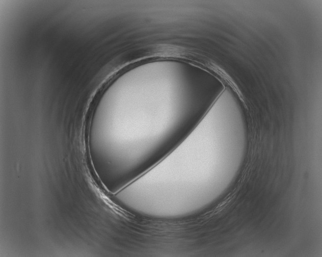 X0000083620939200702120746