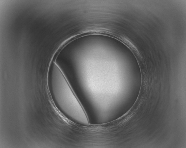 X0000083620940200702120746