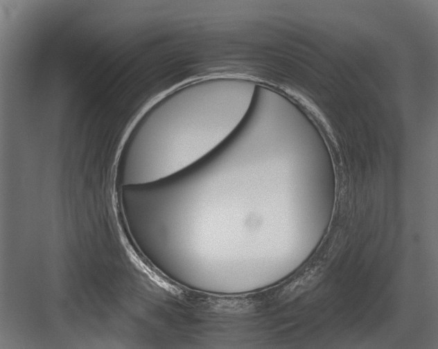 X0000083620941200702120746