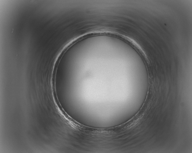 X0000083620943200702120746