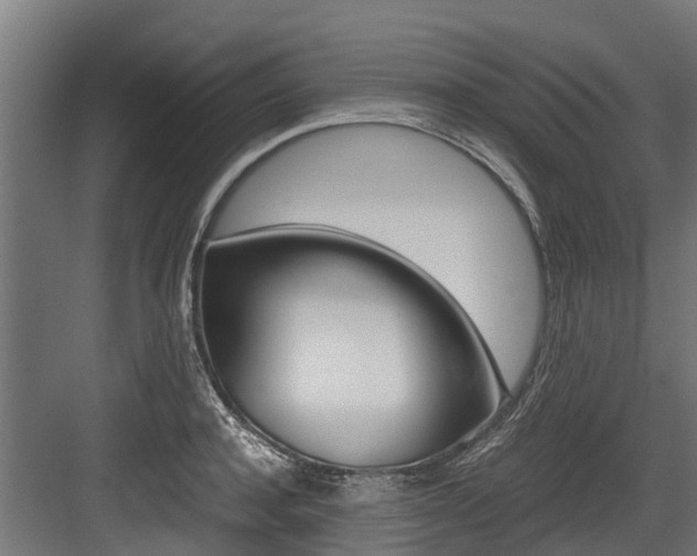 X0000083620944200702120746