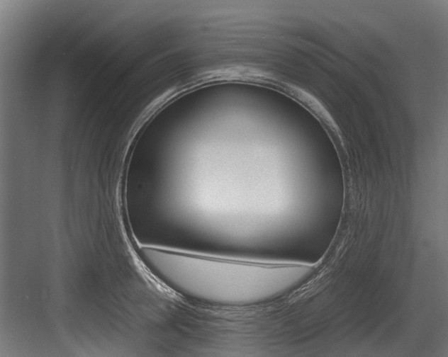 X0000083620946200702120746