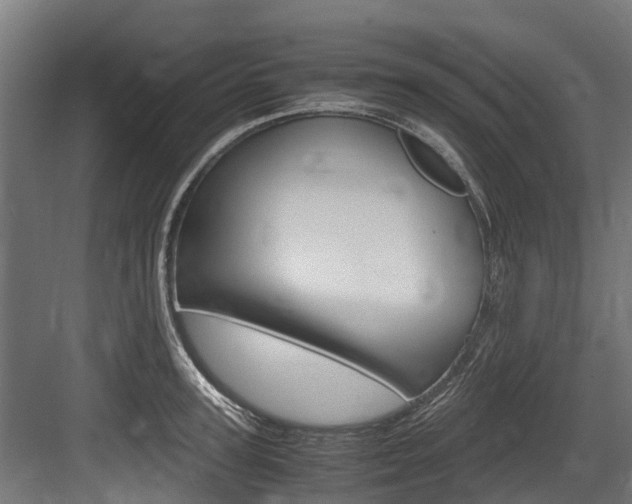 X0000083620947200702120746
