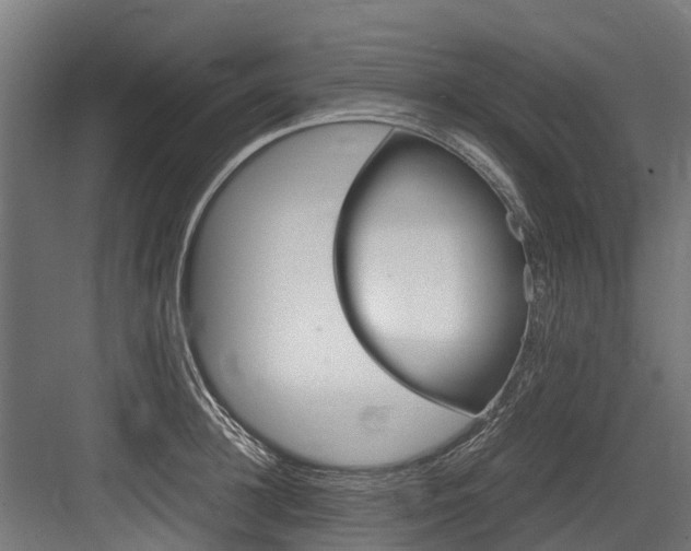 X0000083620948200702120746