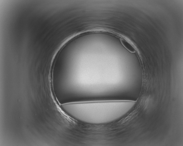 X0000083620951200702120746