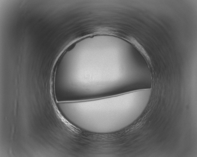 X0000083620955200702120746