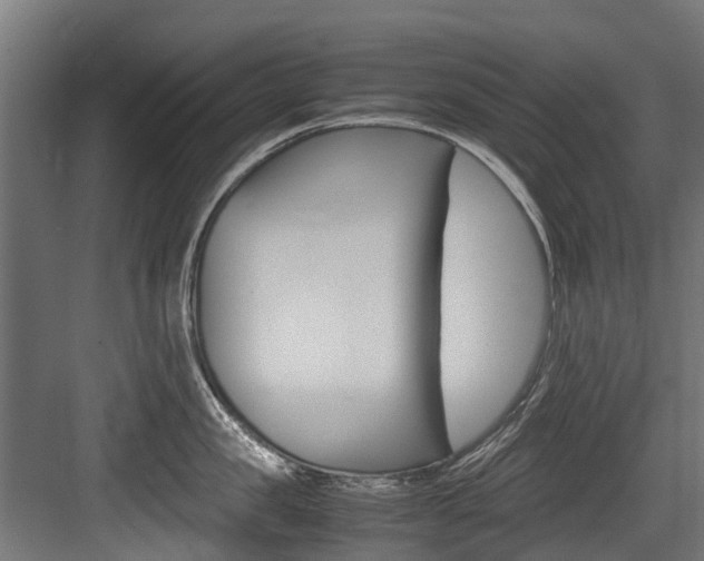 X0000083620957200702120746