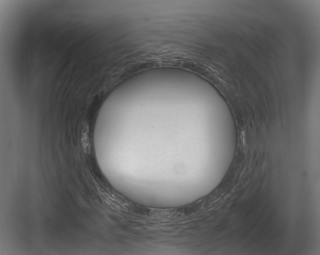 X0000083620963200702120745