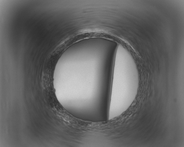 X0000083620967200702120745
