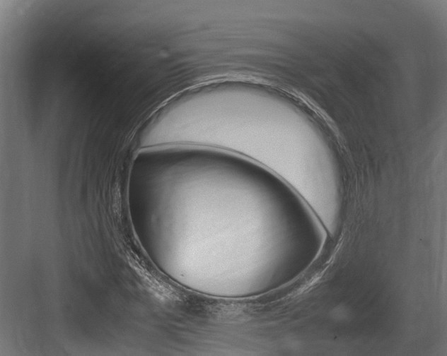X0000083620969200702120745