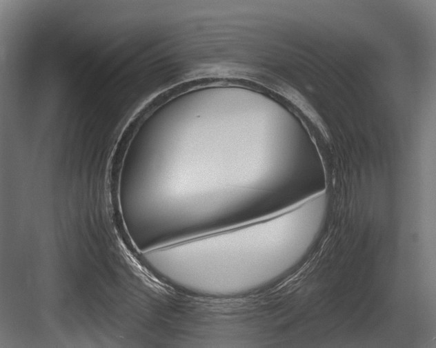 X0000083620972200702120745