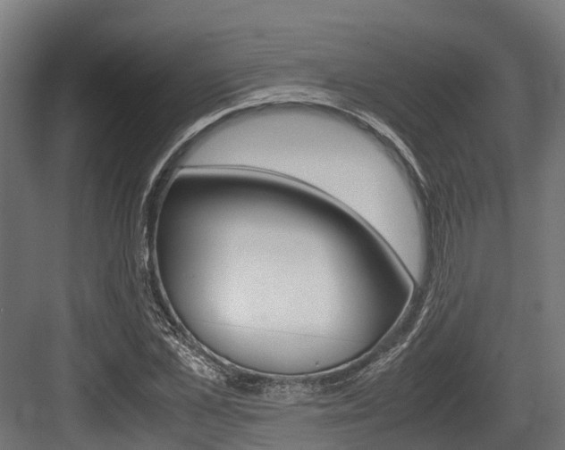 X0000083620973200702120745