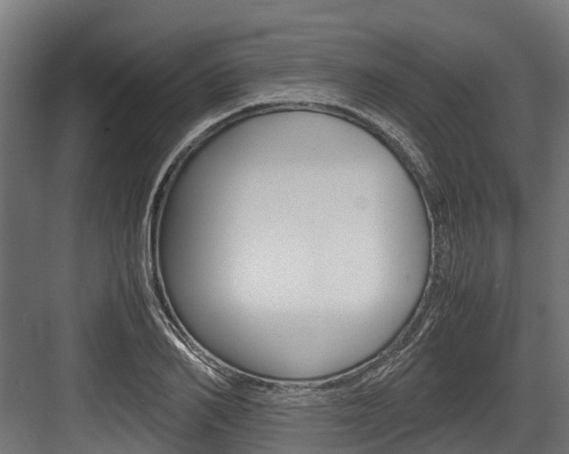 X0000083620982200702120745