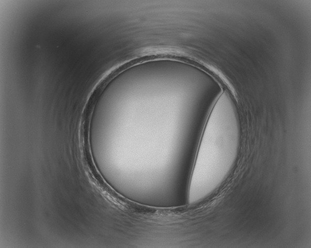 X0000083620983200702120745