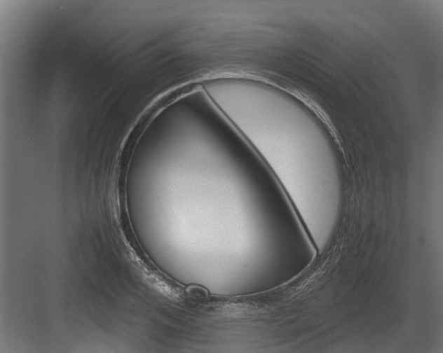 X0000083620984200702120745