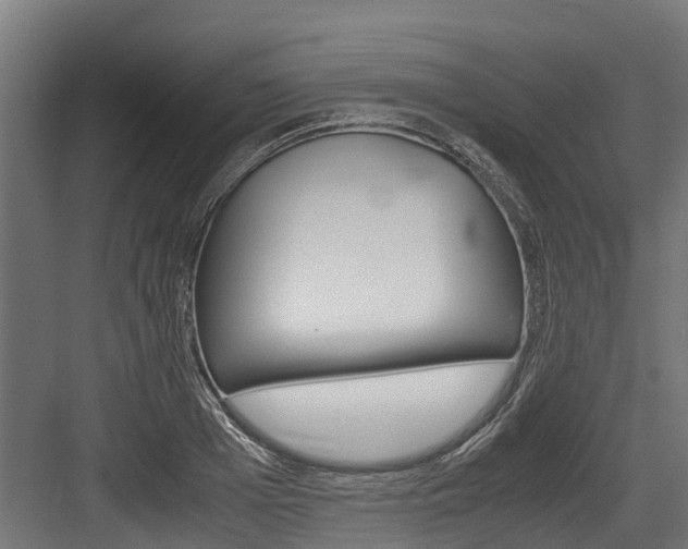 X0000083620985200702120745