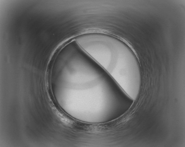 X0000083620987200702120745
