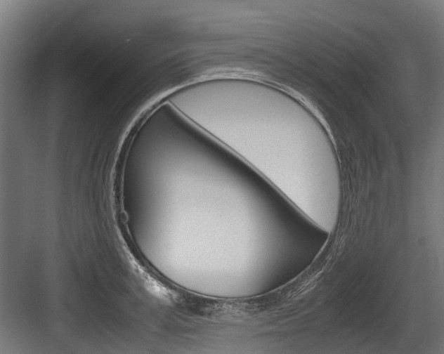 X0000083620995200702120745