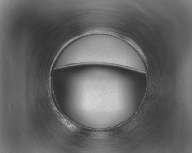X0000083620996200702120745