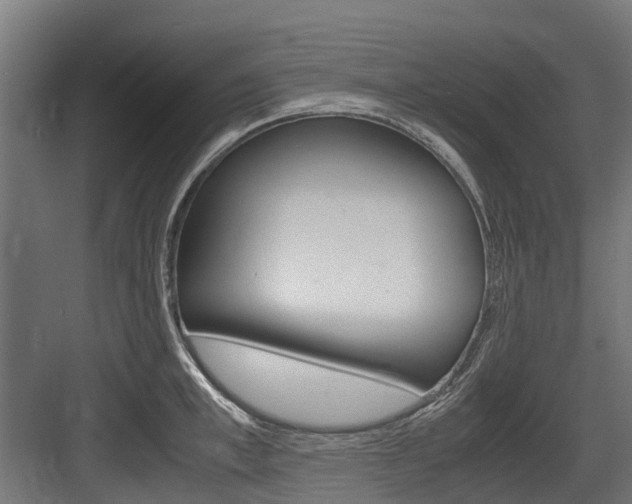 X0000083620997200702120745