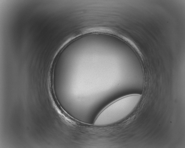 X0000083620999200702120745