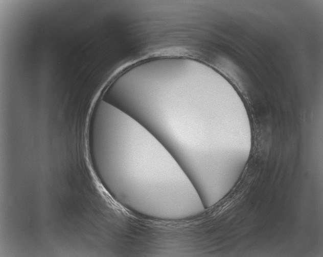 X0000083621000200702120745