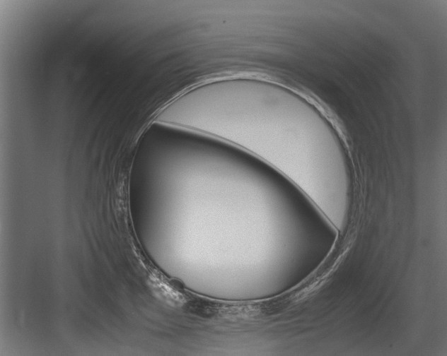 X0000083621001200702120745