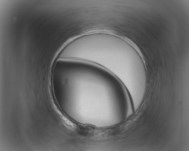 X0000083621005200702120744