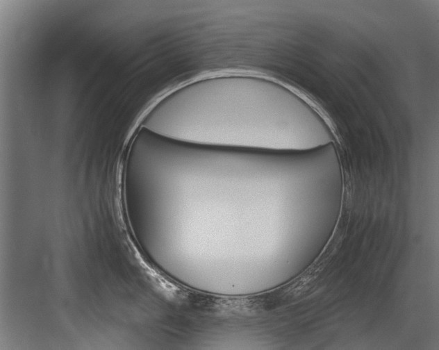 X0000083621006200702120744