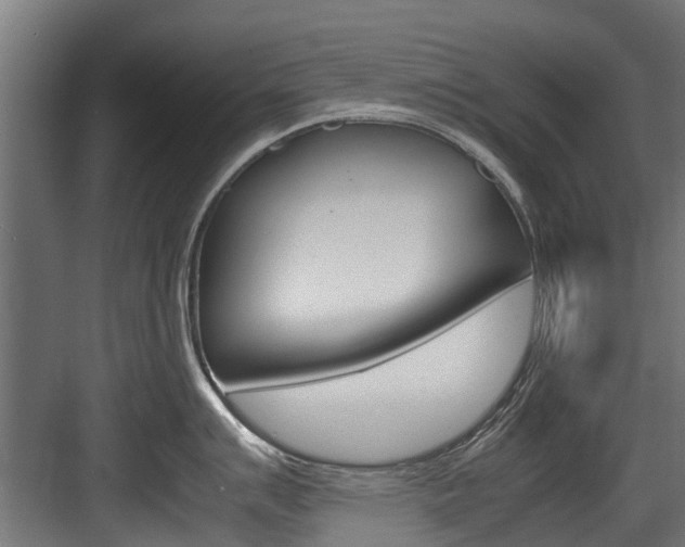 X0000083621007200702120744