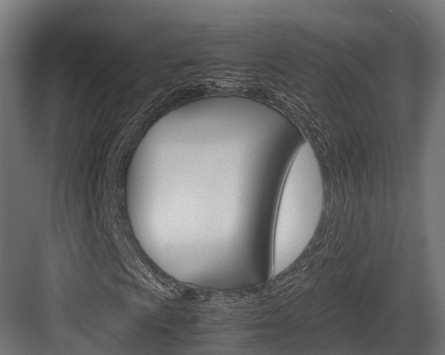 X0000083621009200702120744