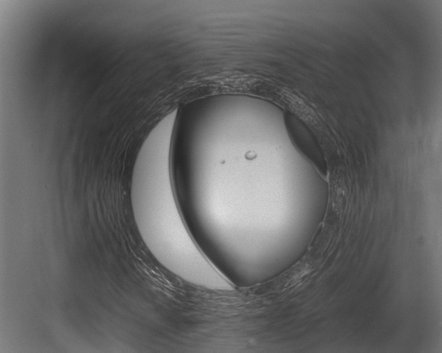 X0000083621010200702120744