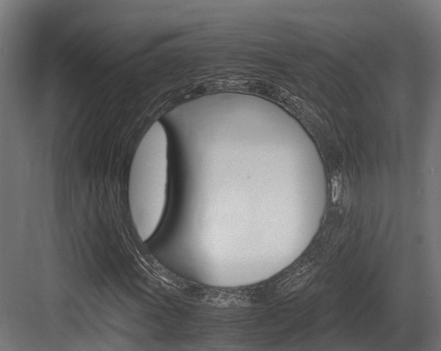 X0000083621011200702120744