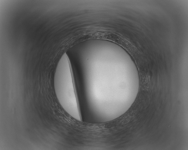 X0000083621013200702120744
