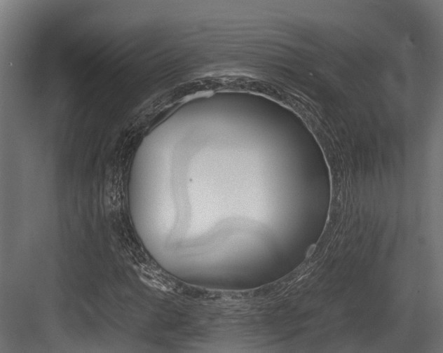 X0000083621014200702120744