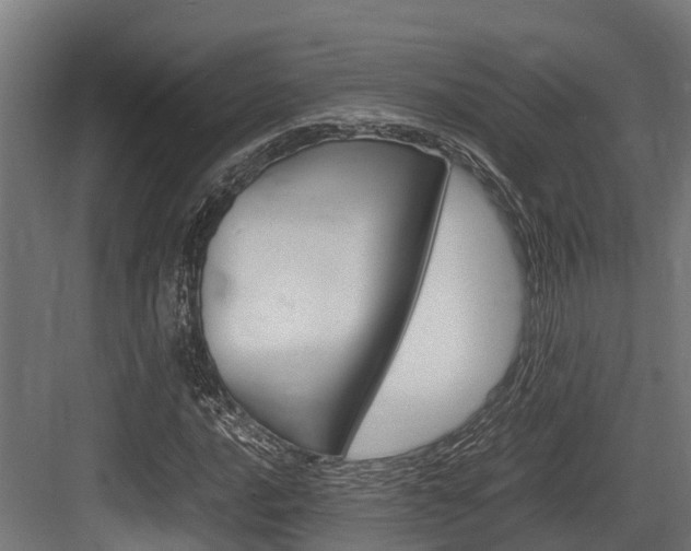 X0000083621016200702120744