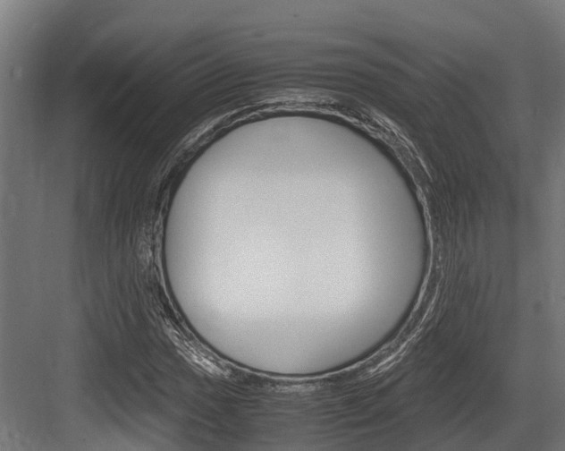 X0000083621017200702120744