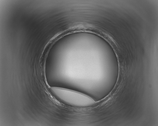 X0000083621018200702120744