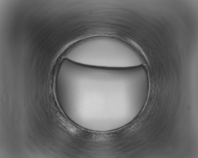 X0000083621019200702120744