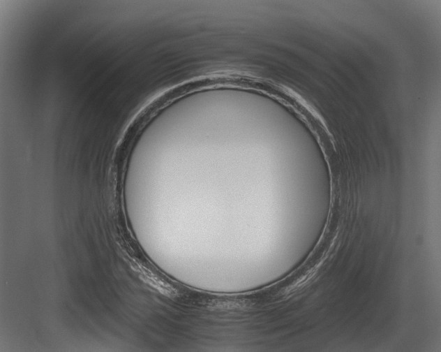 X0000083621021200702120744