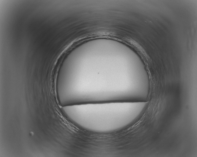 X0000083621023200702120744