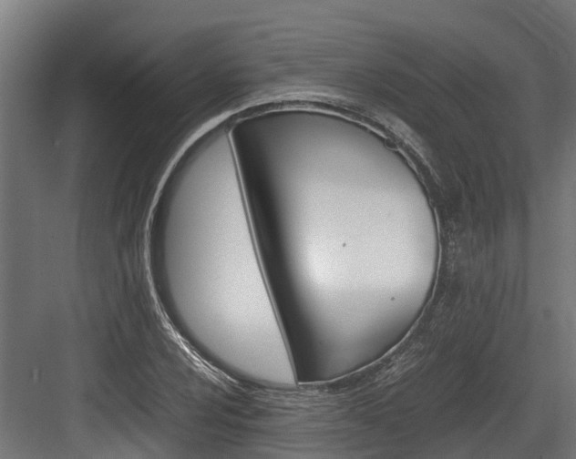 X0000083621024200702120744
