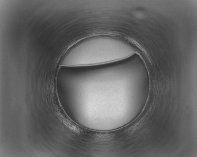 X0000083621025200702120744