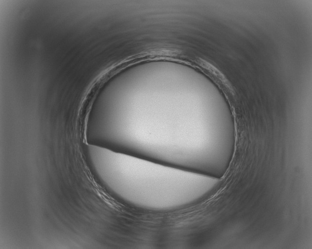 X0000083621027200702120744