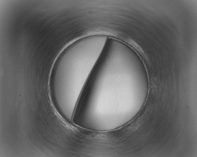 X0000083621028200702120744