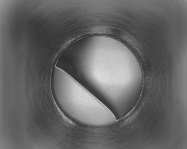 X0000083621033200702120744