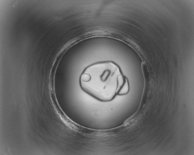X0000083621034200702120744