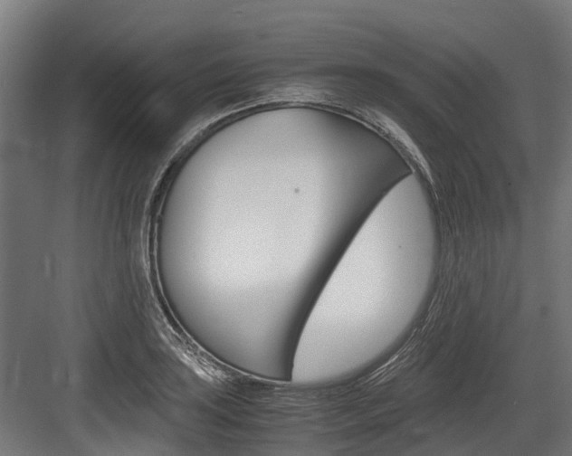 X0000083621035200702120744